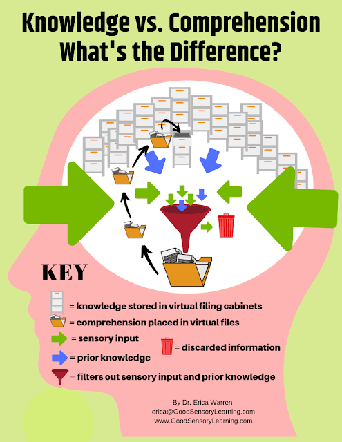 Knowledge vs comprehension infographic by Dr. Erica Warren illustrating how sensory input and prior knowledge are filtered to create comprehension, using a brain filing system metaphor for learning and understanding.