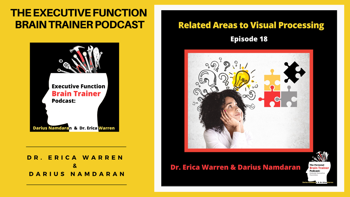 Episode 18: Related Areas to Visual Processing - The Executive Function Brain Trainer Podcast