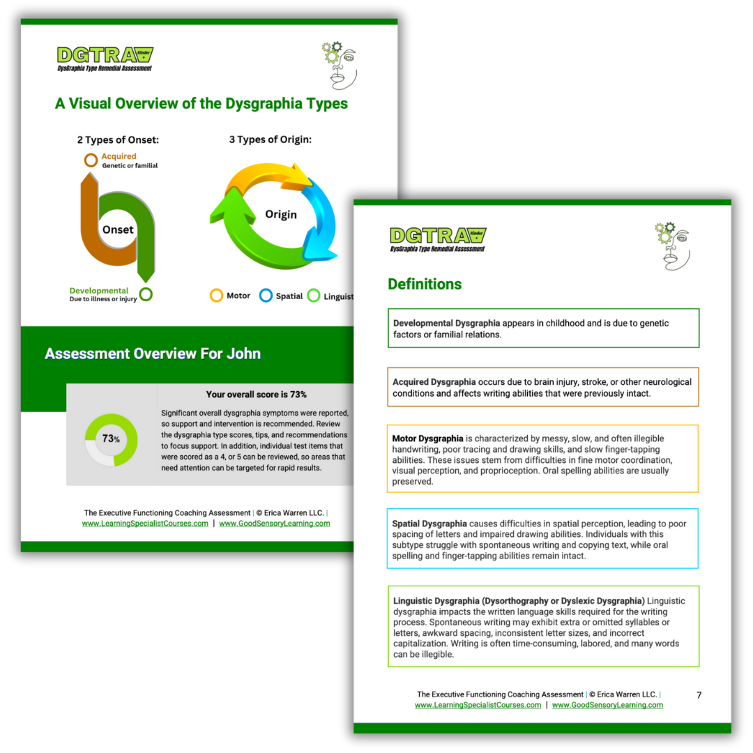 Colorful sample pages from the DGTRA Assessment offering information about the different types and definitions.
