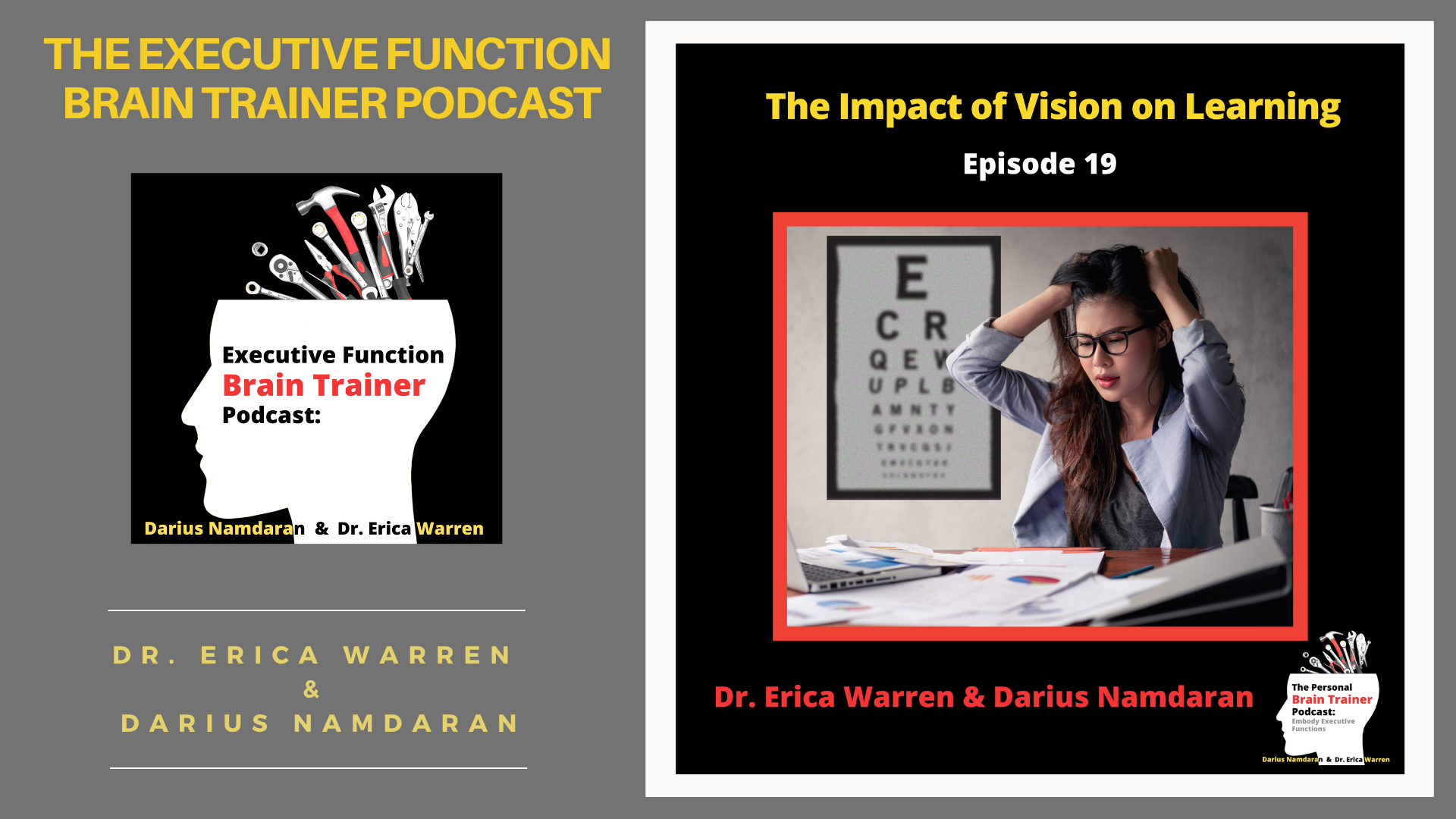 The Executive Function Brain Trainer Podcast' and 'The Impact of Vision on Learning'.