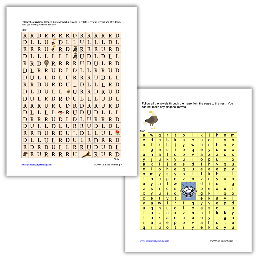 Reversing Reversals maze activities with directional letters and vowel paths to strengthen tracking, visual discrimination, and reading skills by Dr. Erica Warren