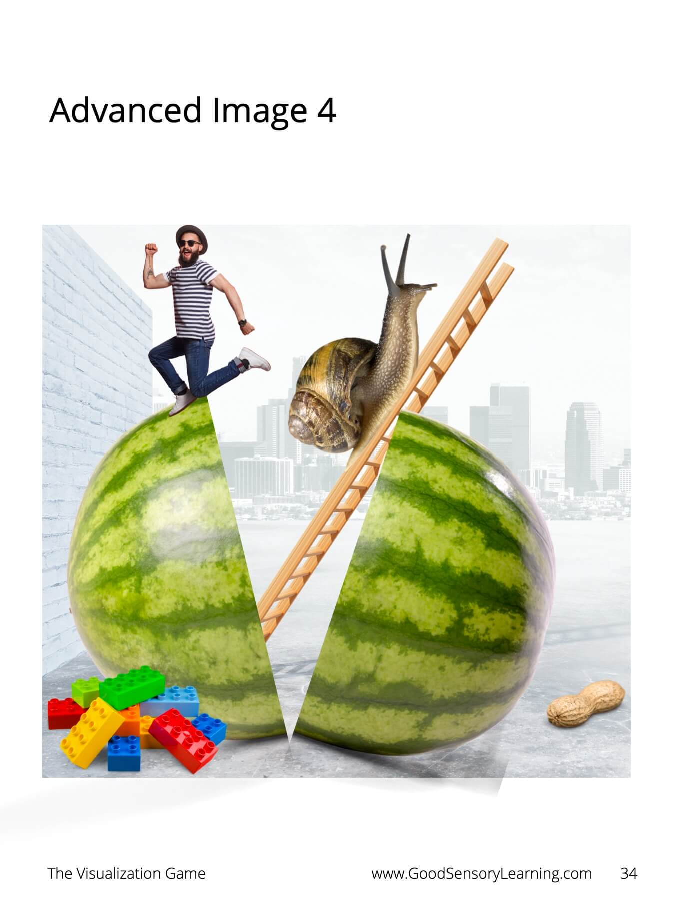 Image from the Visualization Game