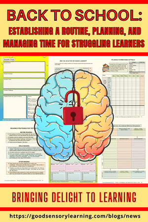 Back to School Executive Function Skills: Establishing a Routine, Planning, and Managing Time