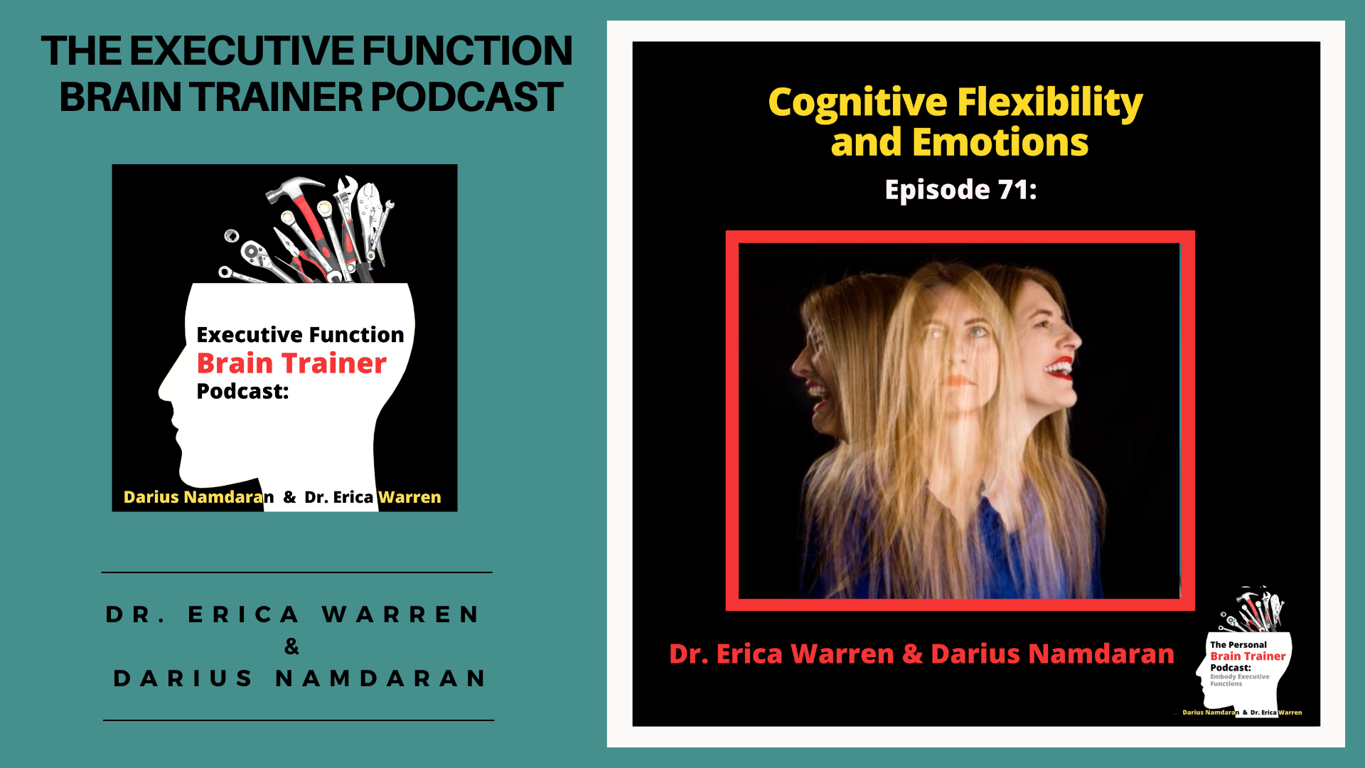 Episode 71: Cognitive Flexibility and Emotions