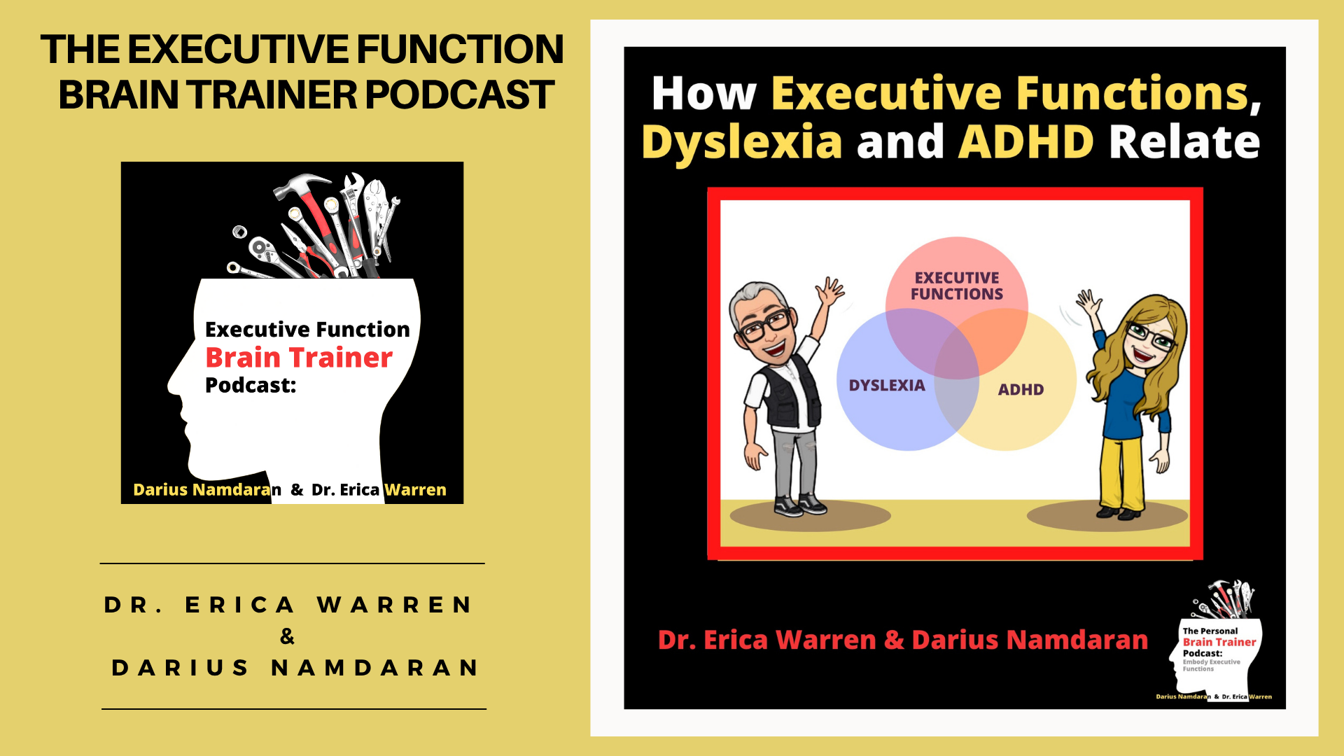 Episode 12: How Executive Functions, Dyslexia and ADHD Relate The Executive Function Brain Trainer Podcast