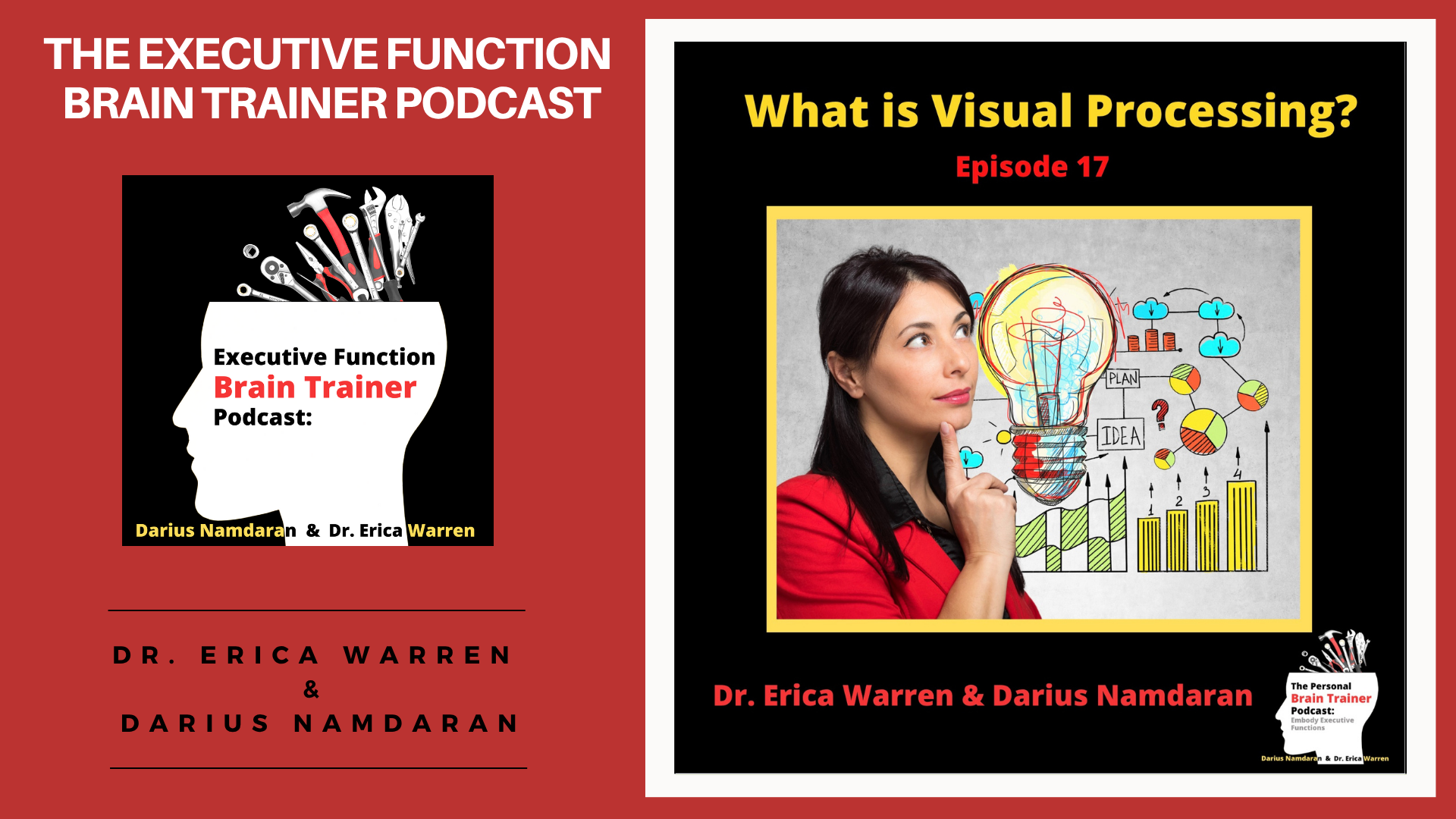 Episode 17: What is Visual Processing on the Executive Function Brain Trainer Podcast