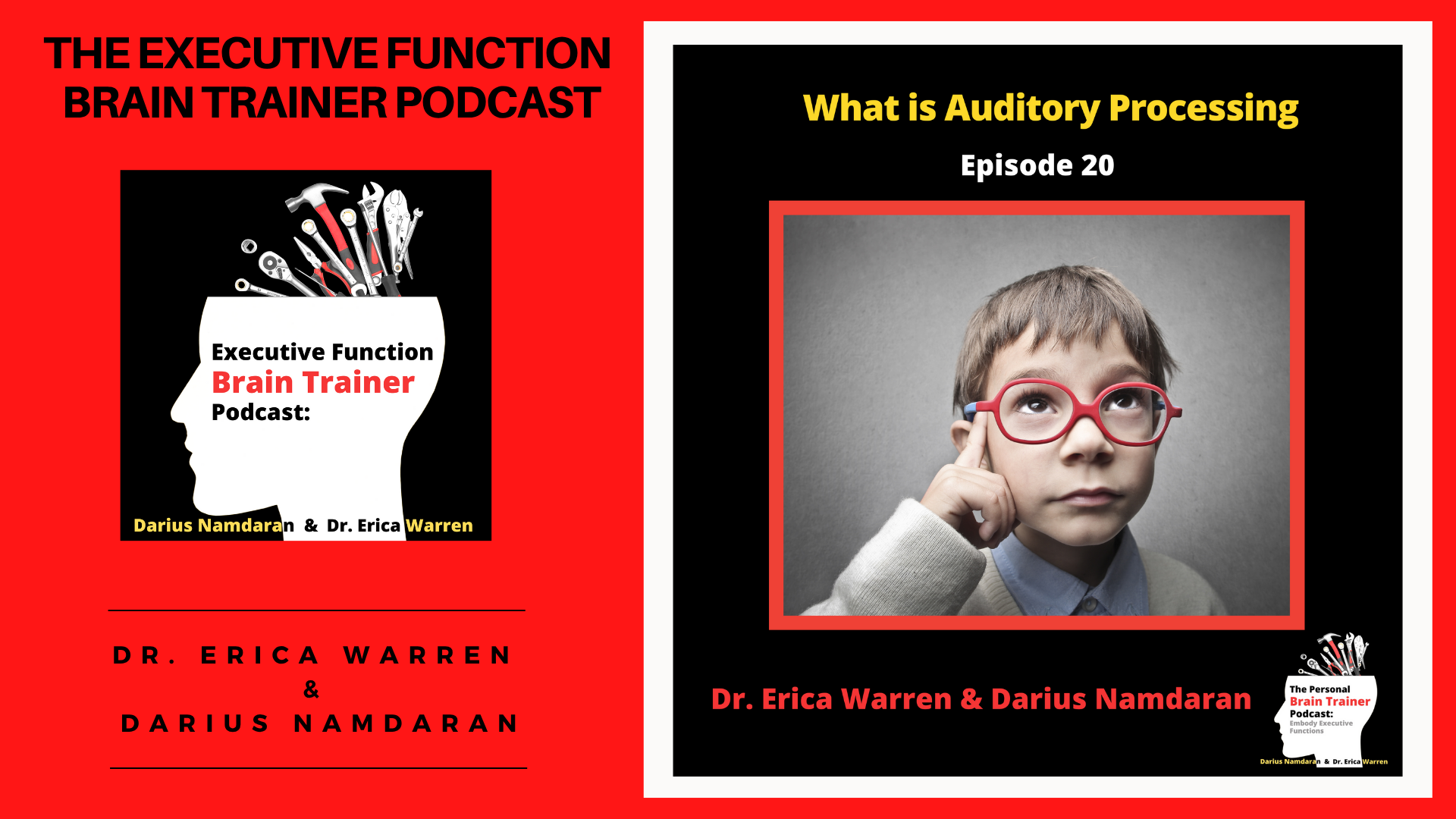 Episode 20: What is Auditory Processing? - The Executive Function Brain Trainer Podcast