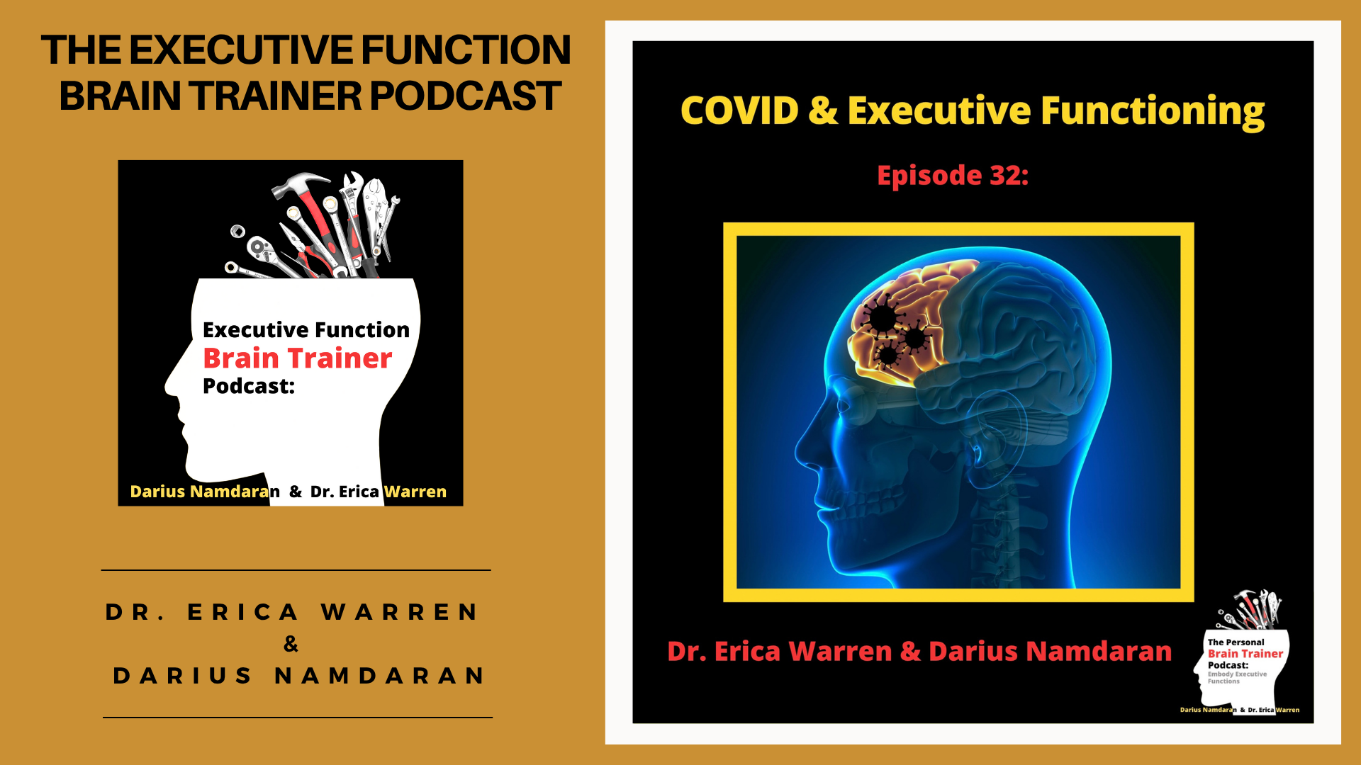 Episode 32: COVID and Executive Functioning