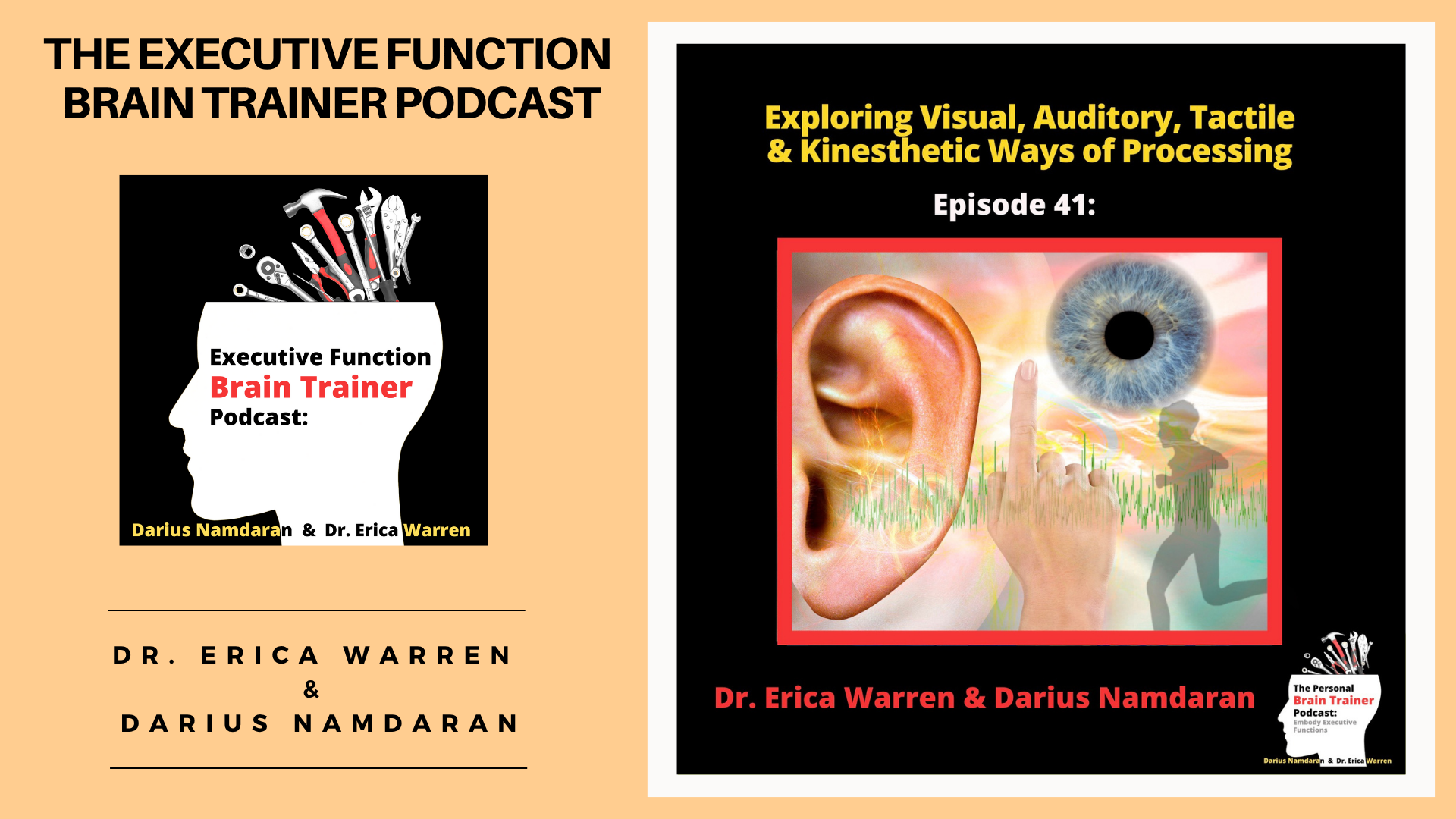 Episode 41: Exploring Visual, Auditory, Tactile and Kinesthetic Ways of Processing