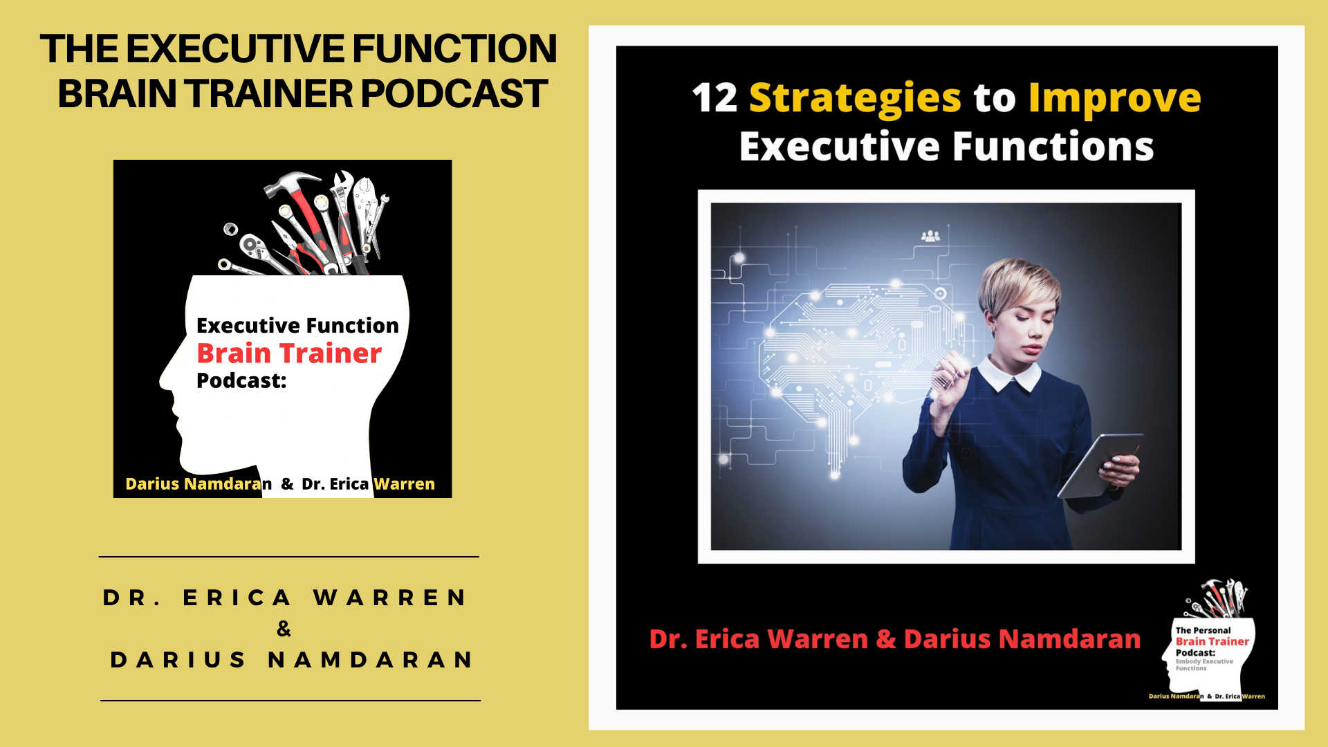 Episode 9: 12 Strategies to Improve Executive Functions - The Executive Function Brain Trainer Podcast