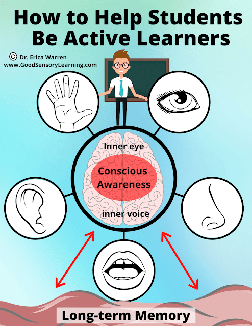 Active learning strategies infographic by Dr. Erica Warren illustrating how students use the inner voice, visualization, senses, and conscious awareness to strengthen engagement and long-term memory.