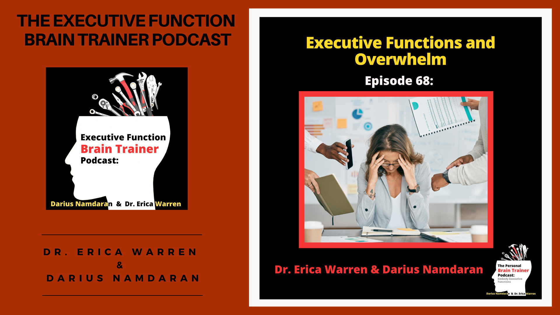 Episode 68: Overwhelm and Executive Function