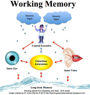 Working Memory Definition, Facts, Symptoms and Strategies Infographic