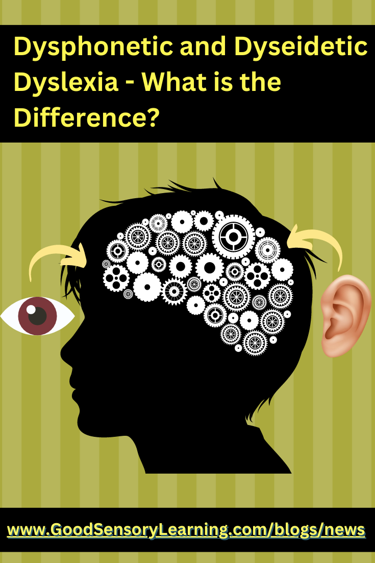 Dysphonetic and dyseidetic dyslexia comparison graphic showing a child’s head silhouette with gears in the brain, an eye and ear icons, illustrating visual and auditory processing differences in dyslexia.