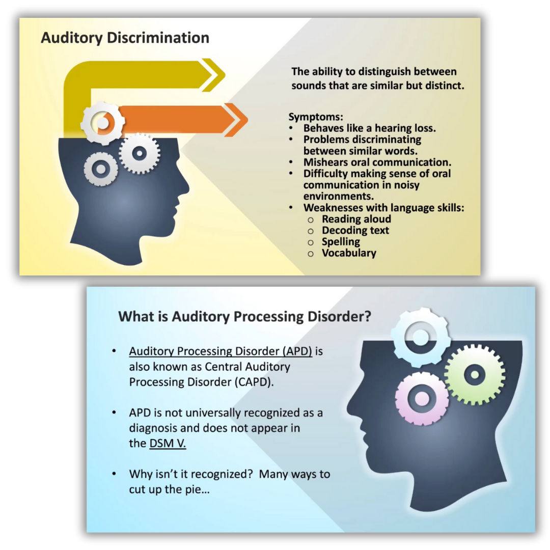 Sample slides from auditory processing workshop with definitions and braincogs images.