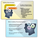 Sample slides from auditory processing workshop with definitions and braincogs images.