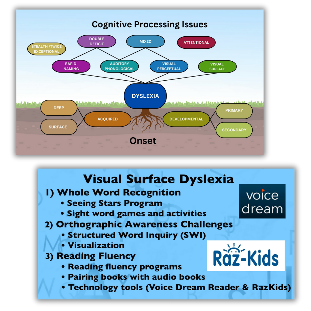 Dyslexia workshop samples slide of the types of dyslexia and the onset as well as a description of visual surface dyslexia.