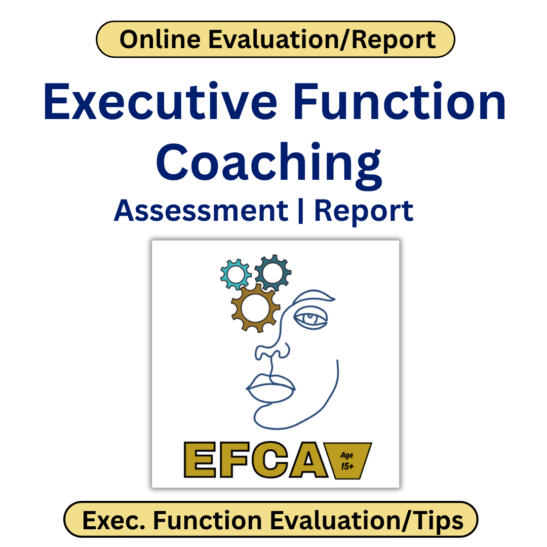 Cover of an online evaluation/report for executive function coaching with a stylized face and gears design.