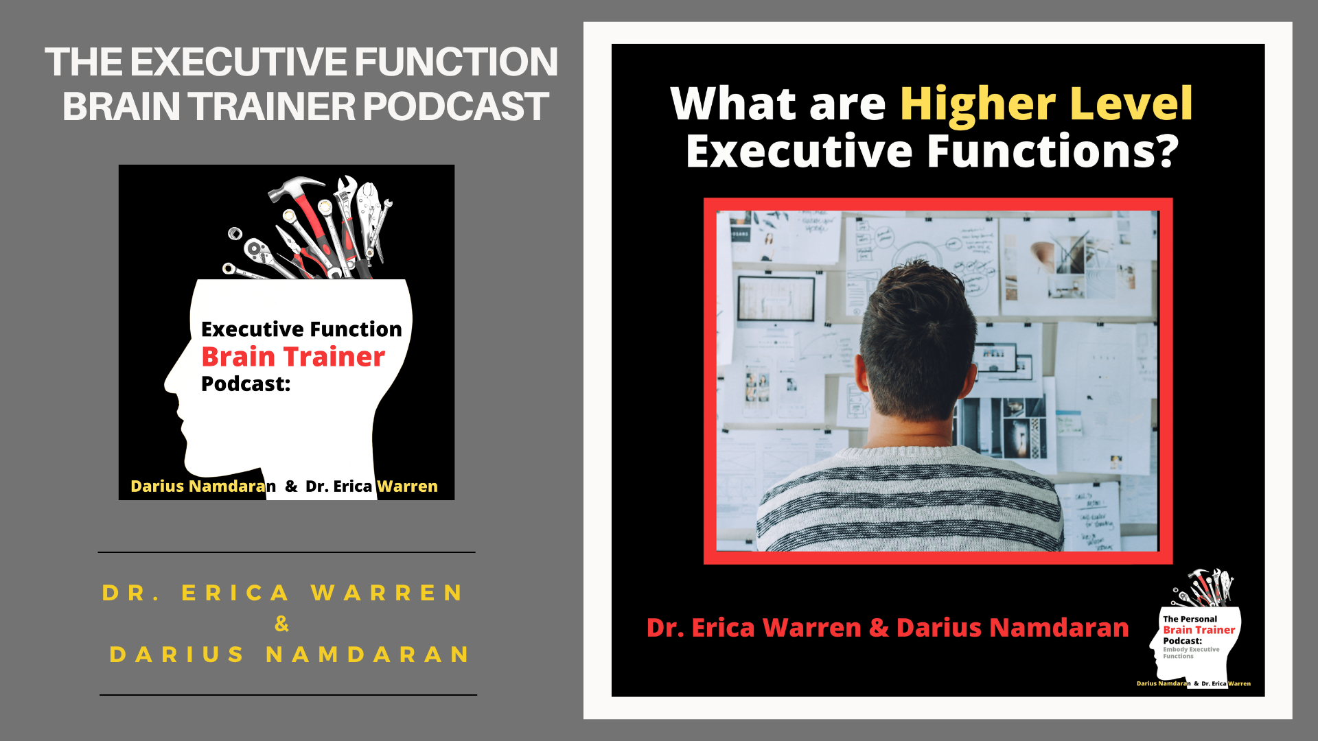 Podcast image from the 'Executive Function Brain Trainer Podcast' and 'What are Higher Level Executive Functions?' by Dr. Erica Warren and Darius Namdaran.
