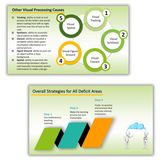 Instructional slides explaining visual processing challenges and evidence-based multisensory strategies used to support learners with visual tracking, synthesis, closure, and spatial difficulties