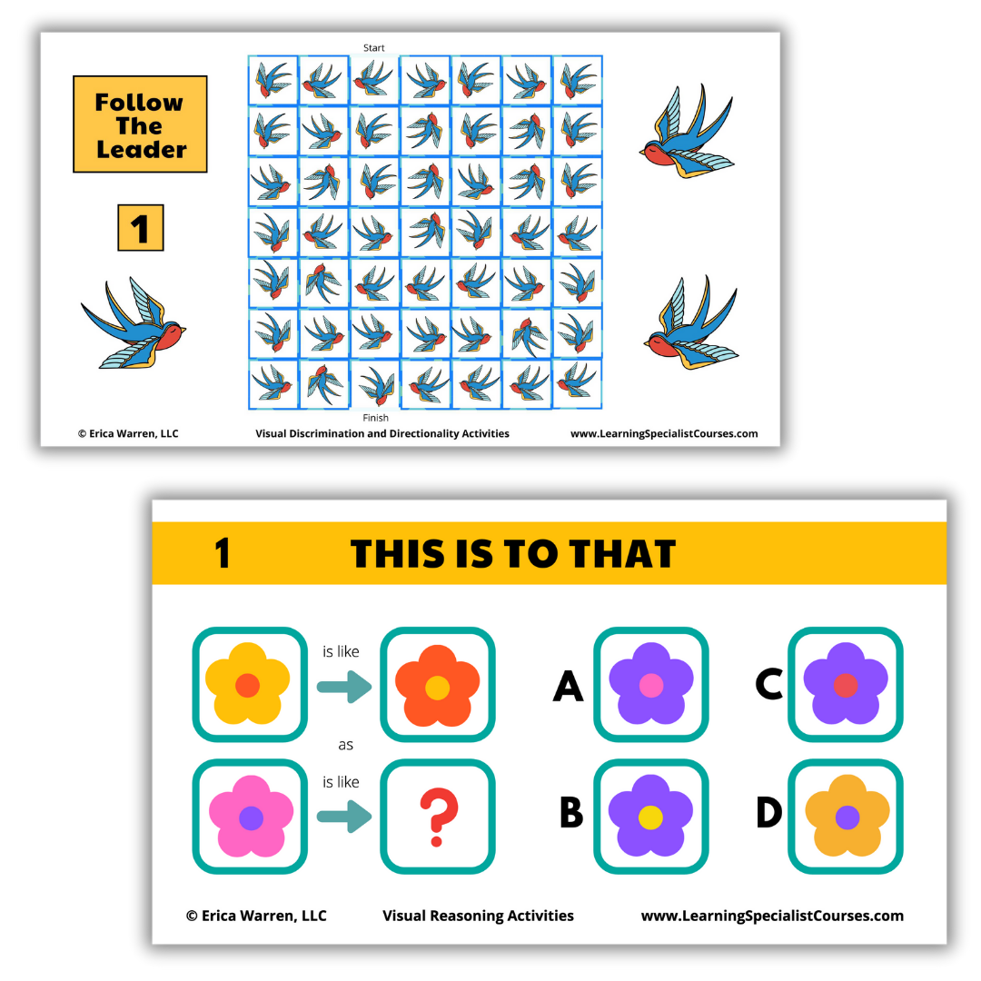 Visual processing activity pages featuring visual discrimination, directionality, and visual reasoning tasks using patterned birds and color-based analogy puzzles for learners.