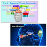 Illustration explaining the 11 types of visual processing and the visual pathway from eye to brain, highlighting how visual information is interpreted and organized for learning