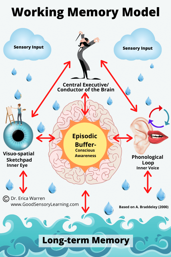 Working Memory Workshop – Good Sensory Learning